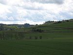 Landschaftsschutzgebiet Grünlandgürtel am Südfeld