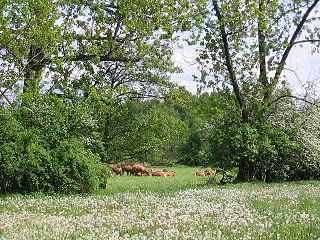 Naturpark Niederlausitzer Landrücken