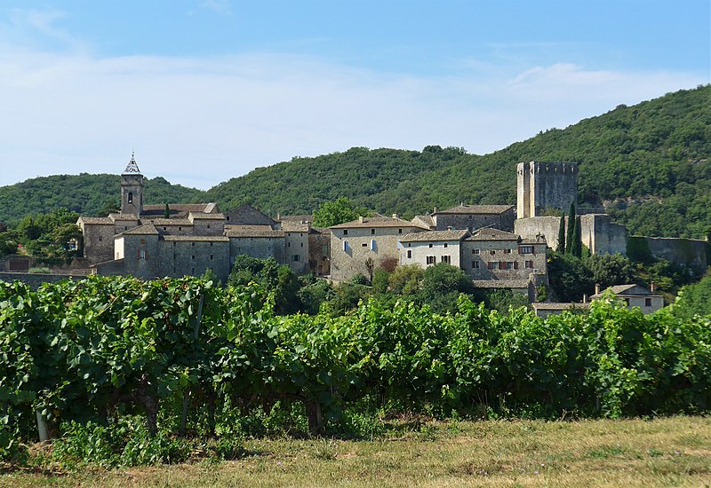 File:Le château protège Montclus 01.jpg