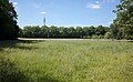 * Nomination Meadow, in the Parc de la Citadelle, in Lille, France --Velvet 07:11, 10 June 2022 (UTC) * Promotion  Support Good quality. --Steindy 15:29, 10 June 2022 (UTC)