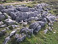 Miniatuur voor Bestand:Limestone Pavement (Durness Limestone), nr Torrin, Isle of Skye - geograph.org.uk - 5008150.jpg