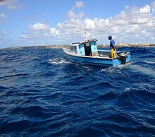 Line fishing on Cobblers Reef Line Fishing on Cobblers Reef.JPG