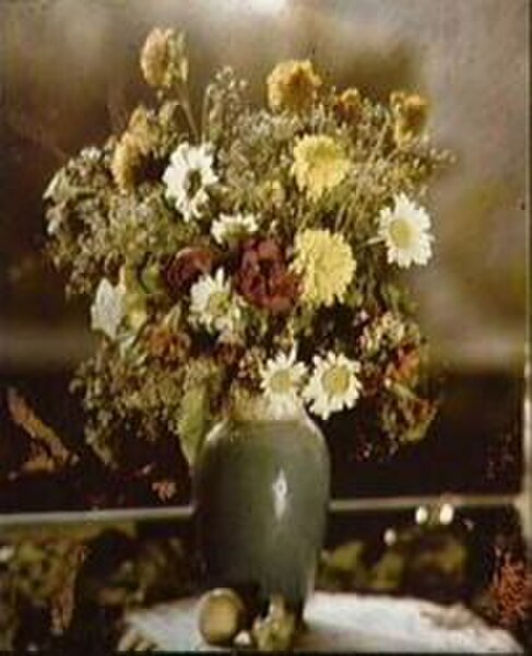 A color photograph made by Gabriel Lippmann in the 1890s, containing no pigments or dyes of any kind.