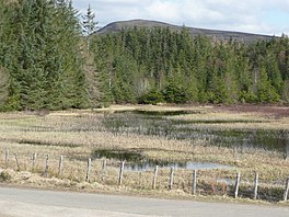 Loch Moraig N - geograph.org.inggris - 767558.jpg