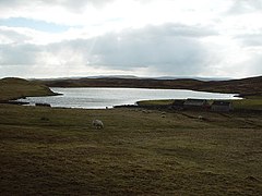 Лох от Сандвик, Whalsay, Шетланд - geograph.org.uk - 145717.jpg