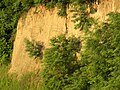 Bauç de loess, exemple d'una ròca detritica eissidas de l'agregacion de nitas.