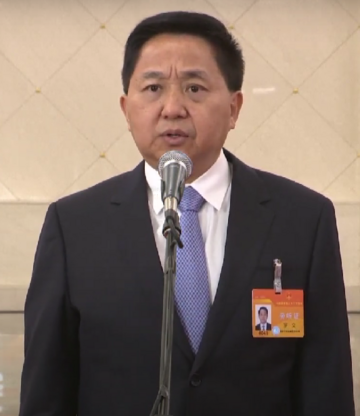 Luo Wen (politician)