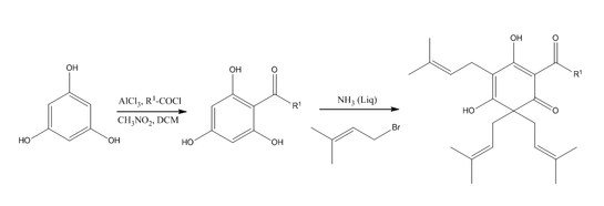 Lupulone synthesis.png