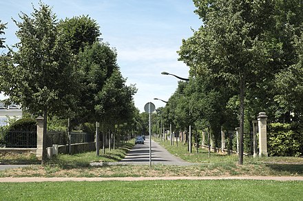 Avenue Voltaire, Parc de Maisons-Laffitte