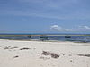 parco nazionale marino di Malindi (immagine)
