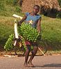 A vendor selling East African Highland bananas for Matoke.