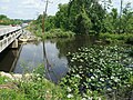 Vignette pour Chickahominy (rivière)