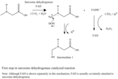 Figure 1: First step in sarcosine dehydrogenase catalyzed reaction mechanism Mechanism 1st step 1.png