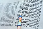 Thumbnail for Megillah (Talmud)