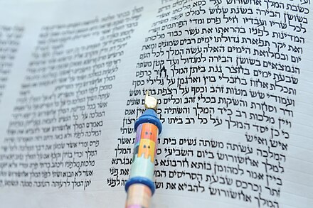 Megillat Esther with Torah pointer