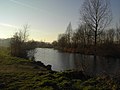 Een oude arm van de Schelde.