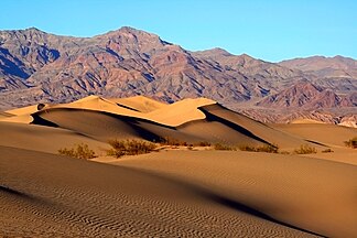 Sand dunes at Mesquite Flat