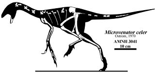 <i>Microvenator</i> Extinct genus of dinosaurs