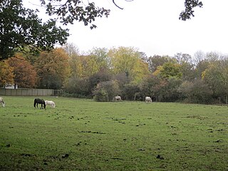 <span class="mw-page-title-main">Mill Hill Substation Pastures</span> Protected area in Barnet, London