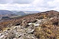 Moel y Gaer, Llantysilio Mountains SSSI and Special Areas of Conservation in Wales - 2021 21.jpg