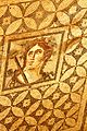 Mosaic in the Terrace Houses in Ephesus (2).JPG
