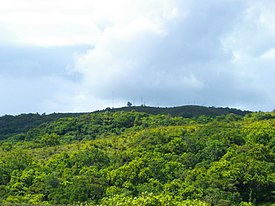 Mount Ngerchelchuus.JPG