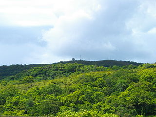 Mount Ngerchelchuus.JPG