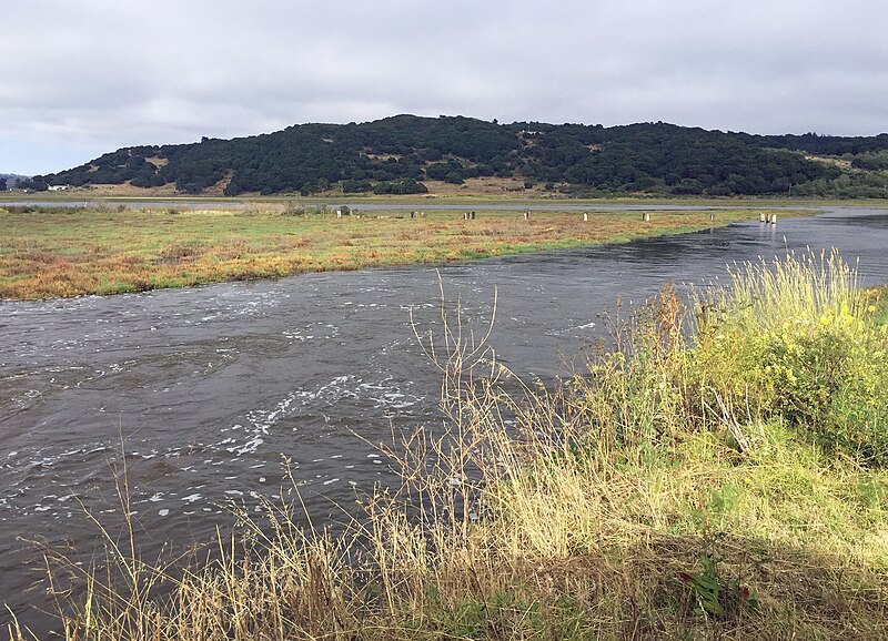 File:Mouth of Carneros Creek July 3, 2017.jpg