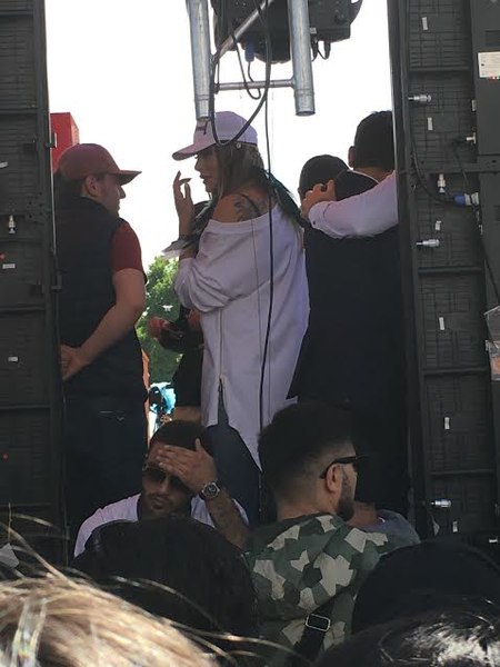 File:Mukuchyan on stage (2018 Armenian Protests) 2.jpg