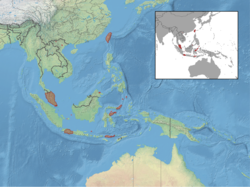 Myotis adversus distribution.png