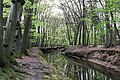 Münster, Wolbeck, Wolbecker Tiergarten, Angel -- 2014 -- 7128.jpg