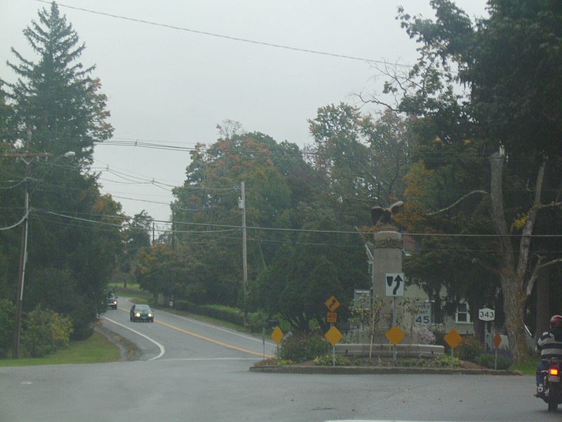 File:NY state Route 343 PITC0900 (4002385179).jpg