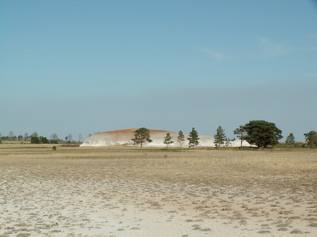 Naurzum Nature Reserve