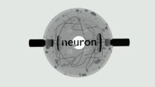 Neuron. Picture from "Kaharlyk". Neuron Kaharlyk.png