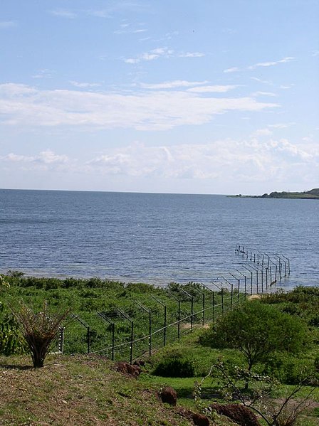 File:Ngamba Island Chimpanzee Sanctuary - Electric fence.jpg