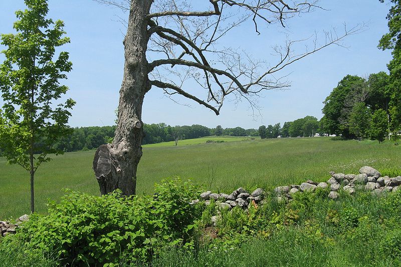 File:North Common Meadow, Petersham MA.jpg