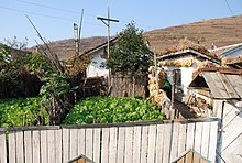 Food grown in the private gardens surrounding people's homes. North Korean garden.jpg