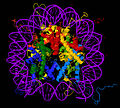 Nucleosome core particle 1EQZ v.5.jpg