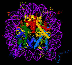 Nucleosoma