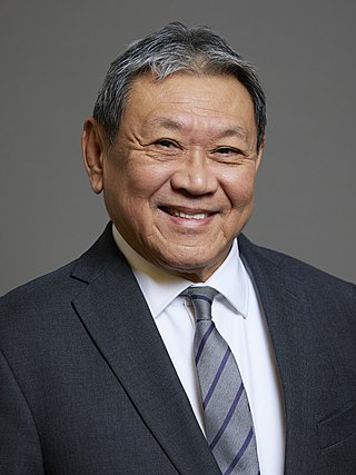 <span class="mw-page-title-main">Sonny Leong, Baron Leong</span> British businessman and politician (born 1953)