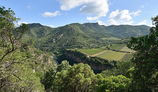 Orb River, Vieussan, Hérault, France.