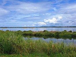 Orbetello - Dettaglio laguna 2.JPG