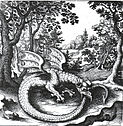 Der Drache Ouroboros in dem alchemistischen Werk „De Lapide Philosophico“, herausgegeben 1625 von Lucas Jennis in Frankfurt.