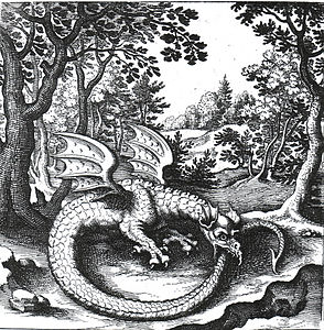 Engraving of a wyvern-type ouroboros by Lucas Jennis, in the 1625 alchemical tract De Lapide Philosophico. The figure serves as a symbol for mercury.※