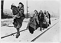 Overlevenden uit Lodz op weg naar Berlijn, Bestanddeelnr 901-3302.jpg