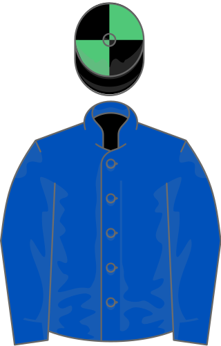 <span class="mw-page-title-main">Designs On Rome</span> Irish-bred Thoroughbred racehorse