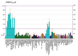 PBB GE CDK5RAP1 218315 s در fs.png