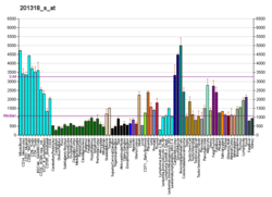 PBB GE MRCL3 201318 с at fs.png