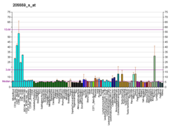 PBB GE PCSK5 205559 s bei fs.png