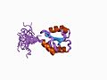 Thumbnail for Protein disulfide-isomerase